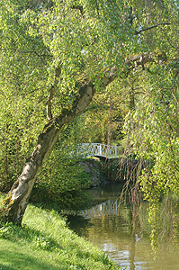 The Swiss Gardens April 2009